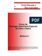 Patologia Esp Caes Gatos01 PDF
