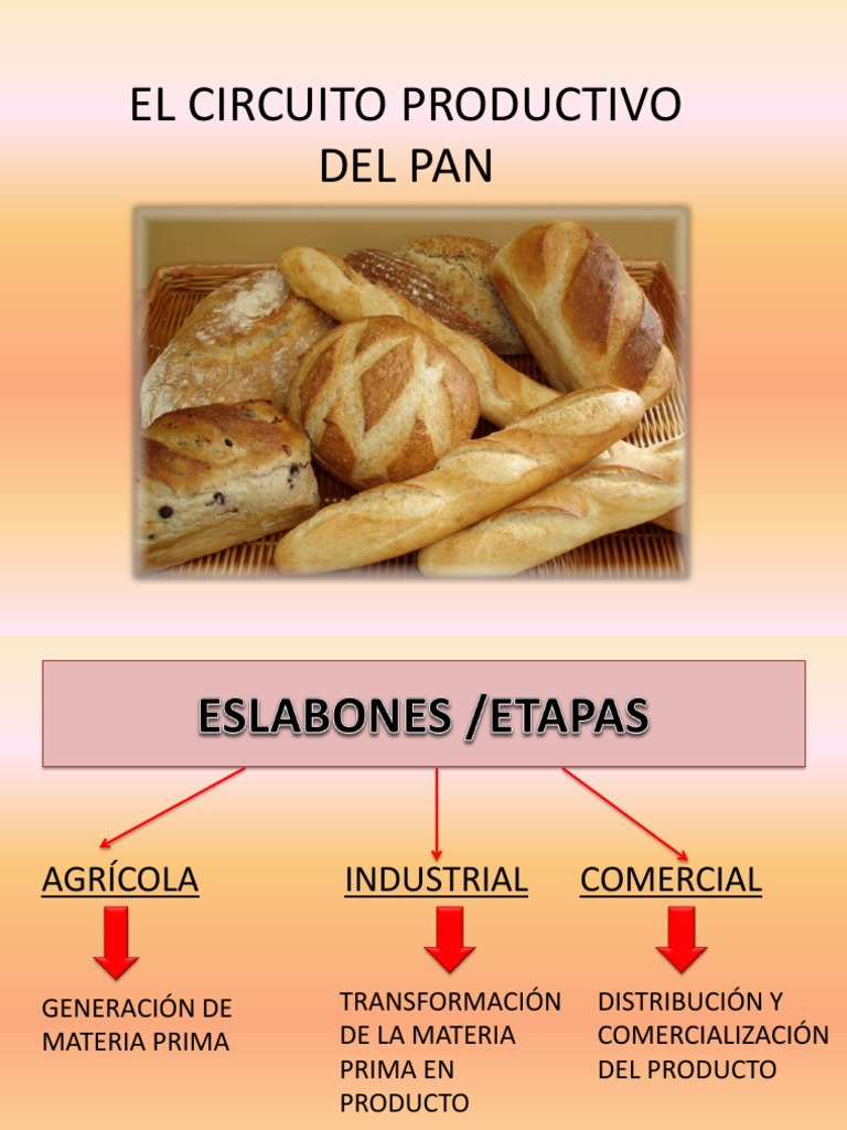 el circuito productivo del pan (1).ppsx Trigo Panes
