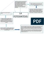 Presentación de biologia 2.pptx