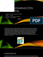 La Contaminación Ambiental Diapositivas