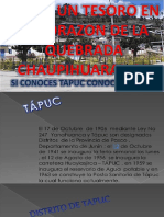DISTRITO DE TAPUC - PASCO PERU.pptx
