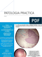 Patologia Practica Laminas