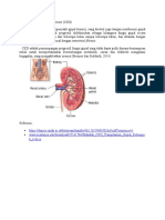 Definisi Chronic Kidney Disease.doc