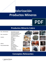Valorización Productos Mineros