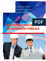 Proyectos de Inversion PDF
