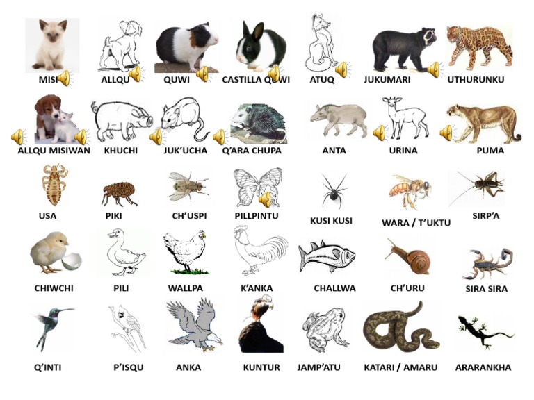 Animales Uywakuna | PDF