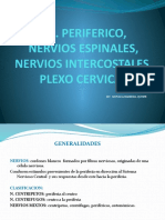 s.n. Periferico, Nervios Espinales, Intercostales y Plexo Cervical
