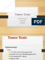 Tumor Testis (1)