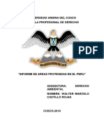 inFORME DERECHO AMBIENTAL ZONAS PROTEGIDAS.docx