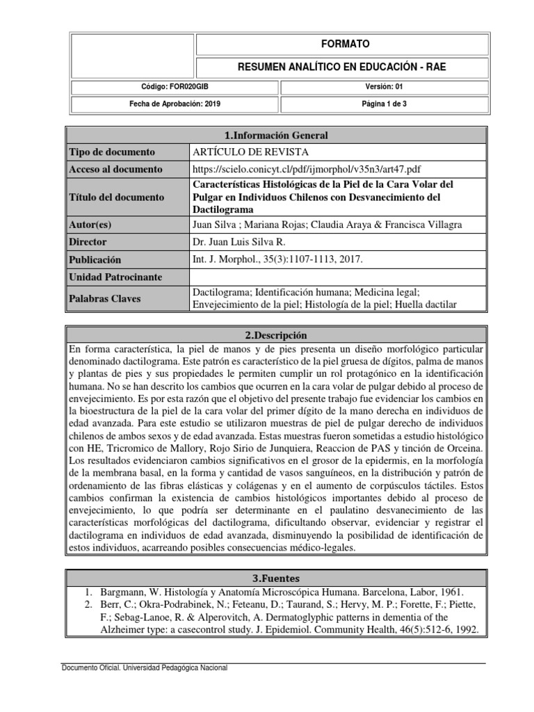 Formato Rae Ejemplo | Piel | Epidermis