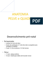 Anatomia Pelve e Quadril (1)