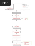 Pathophysiology of C Arrest 1