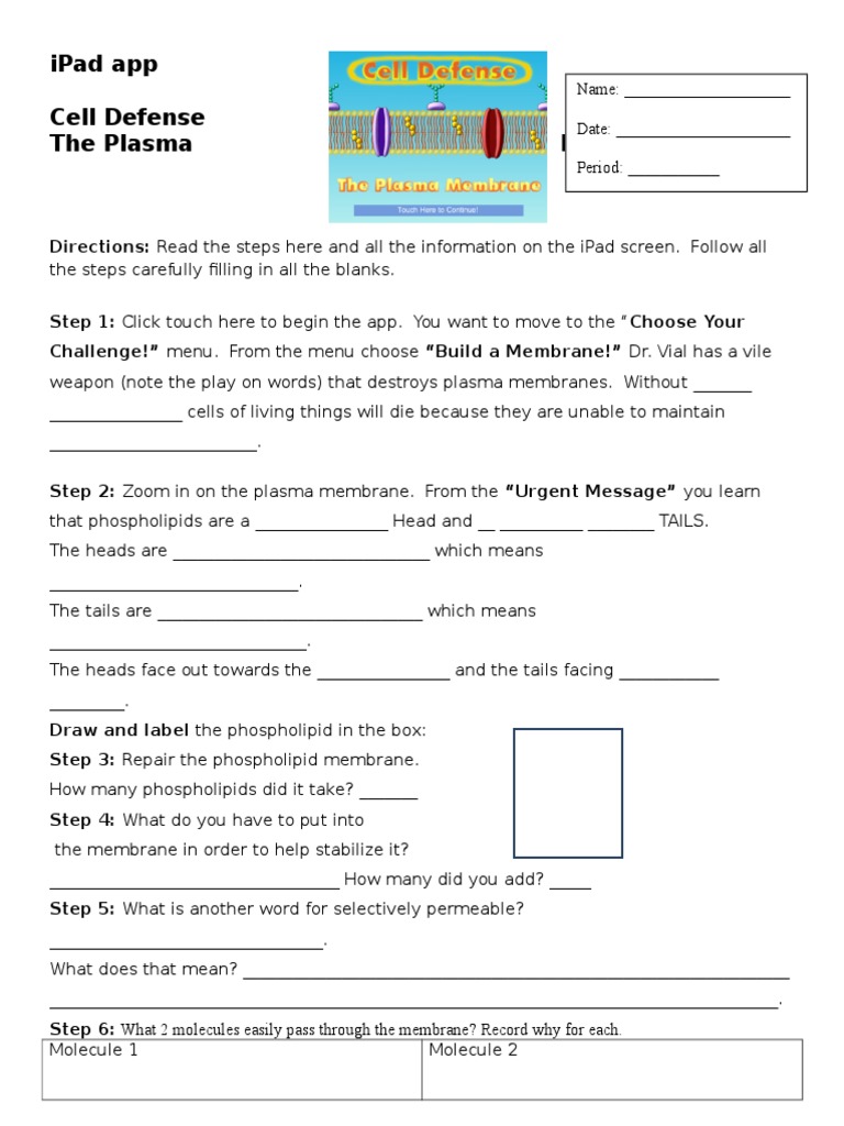 Cell Defense Worksheet Cell Membrane Osmosis