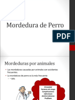 Mordedura de Perro: Guía de Manejo