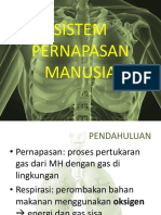 Sistem Pernapasan Manusia 1