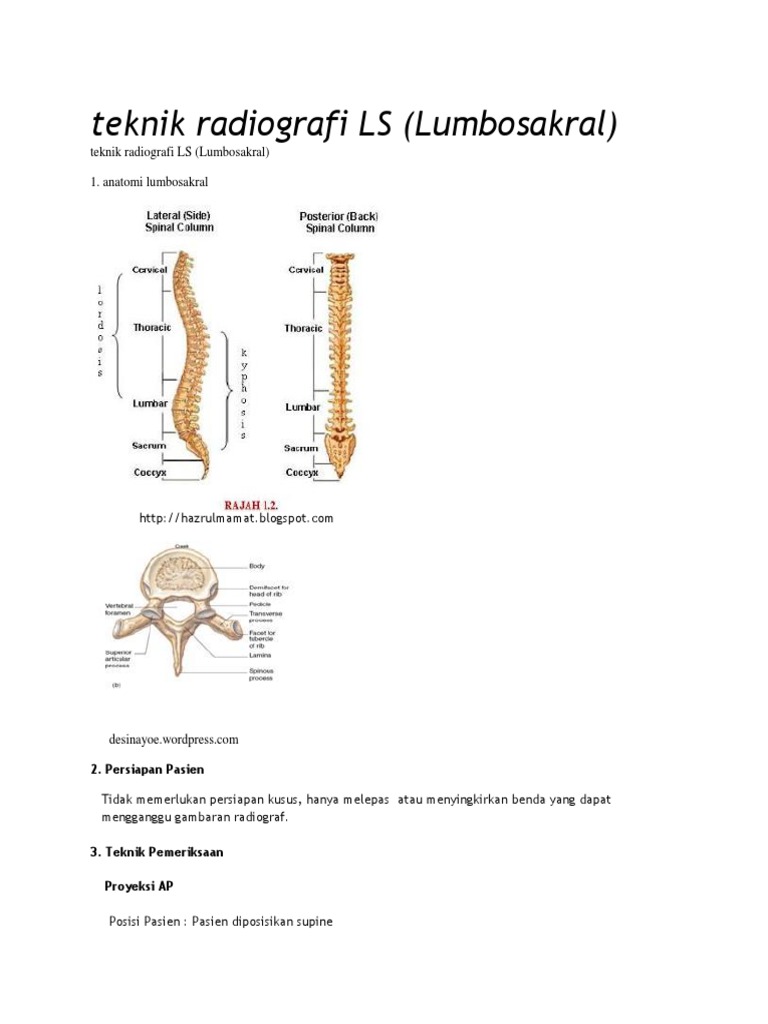 Teknik Radiografi LS | PDF