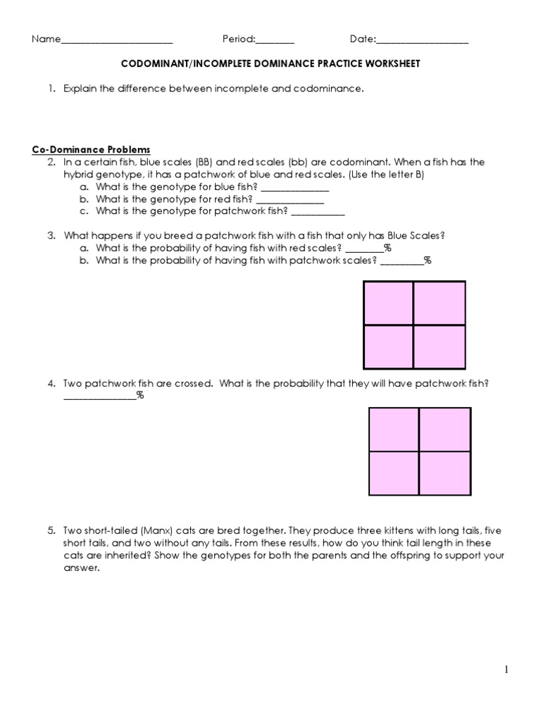 ws-incomplete-codominant-practice-pdf-dominance-genetics-zygosity