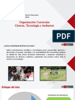 1-enfoques-del-area-CTA.pdf