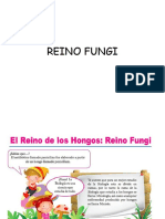 Reino Fungi