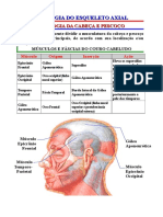 Esqueleto axial - miologia.doc