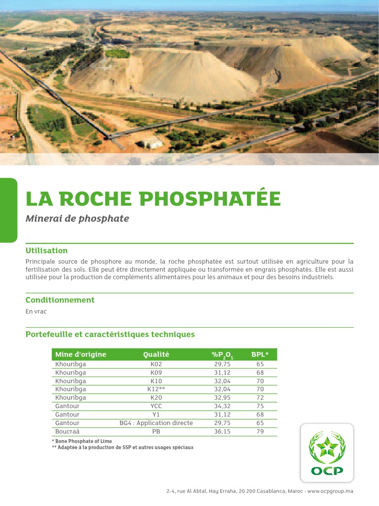 Utilisation de la roche phosphatée | PDF