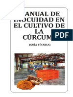 Manual-BPM-de-Curcuma-diagramacion-final-3.pdf