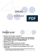 GINJAL.ppt