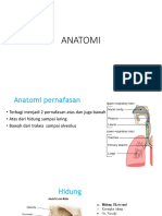 Anatomi RS