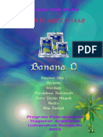 Banana Q Marketing Plan