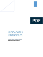 INDICADORES FINANCIEROS.docx
