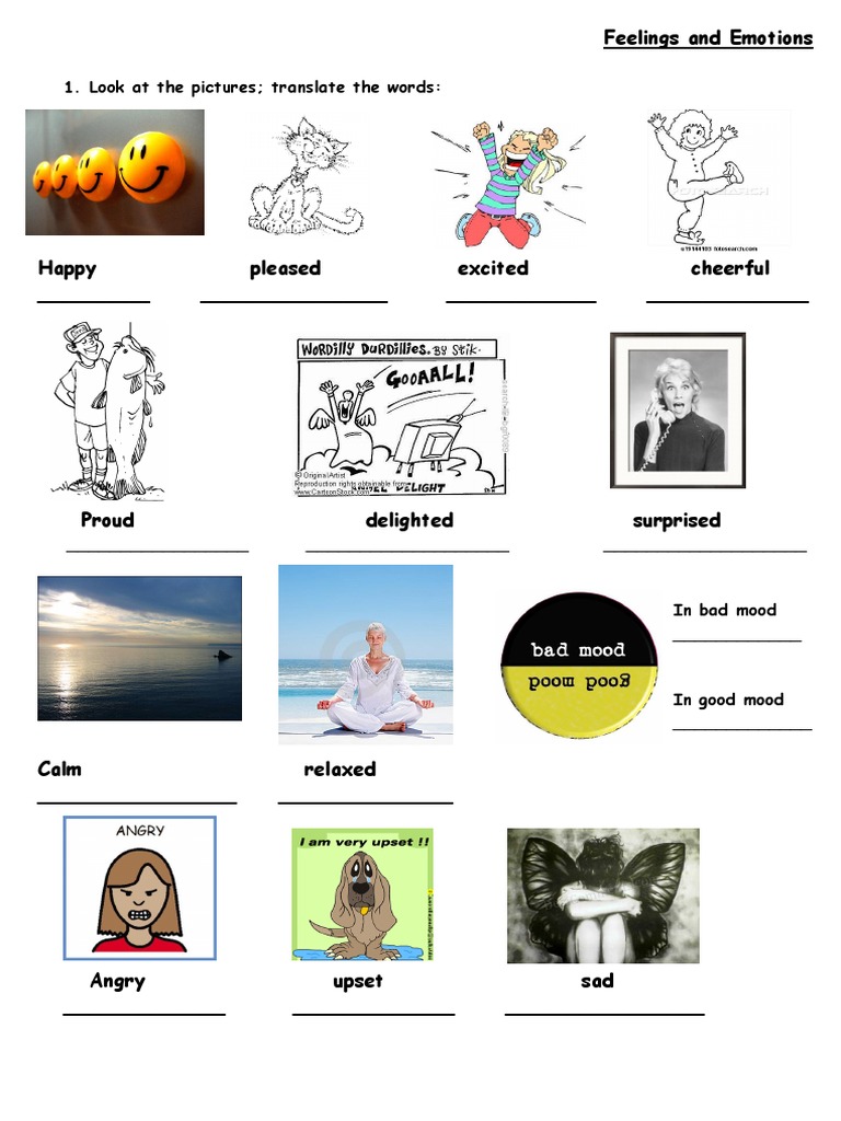 Understanding Feelings and Emotions | PDF | Jealousy | Metaphysics Of Mind