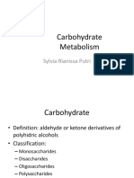 Carbohydrate Metabolism: Sylvia Rianissa Putri