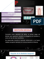 Anatomia y Histologia Denticion Temporal
