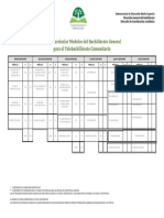 Mapa Curricular PDF