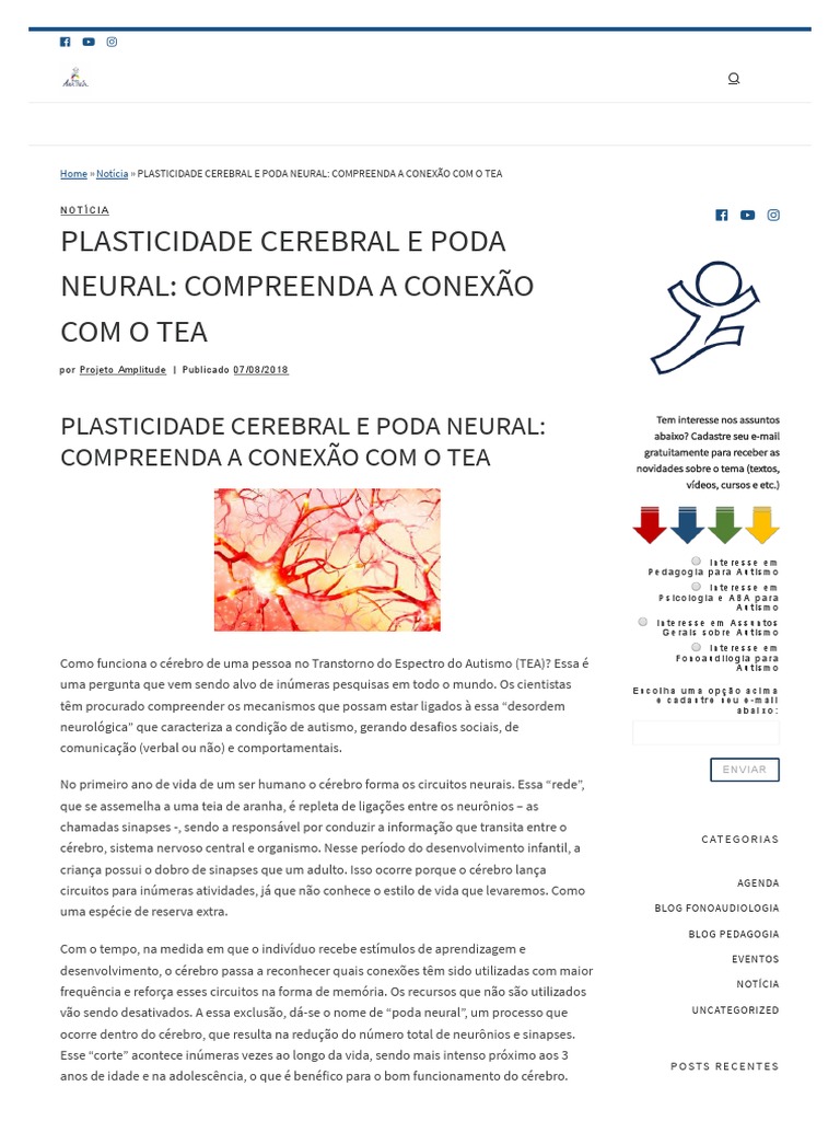 PLASTICIDADE CEREBRAL E PODA NEURAL: COMPREENDA A CONEXÃO COM O TEA ...