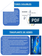 Factores Solubles y Trasplante de Genes