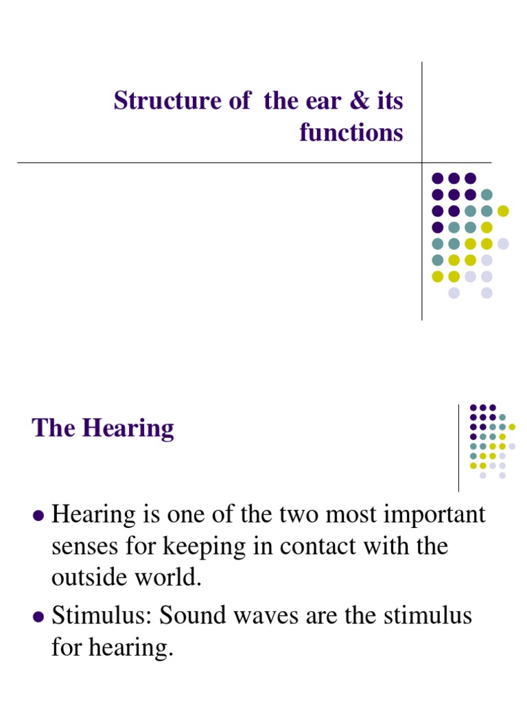 LEC-6 Structure of The Ear & Its Functions-1 | PDF