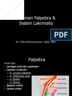 Kelainan Palpebra & Kel Lakrimalis