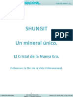 Shungit-Descripcion (1).pdf