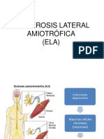 esclerosislateralamiotrficapatologiaok-141013084006-conversion-gate01.pdf