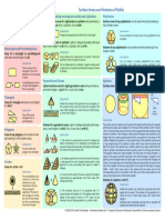 Surface Areas and Volumes of Solids