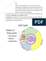 Stages of The Cell Cycle