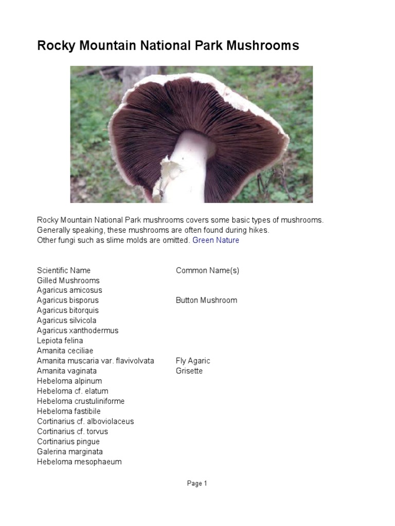 Rocky Mountain National Park Mushrooms PDF Mushroom Non Timber