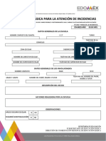 Formato de Informacion Basica Para La Atención de Incidencias 1