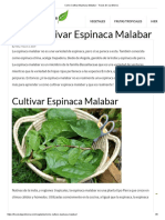 Como Cultivar Espinaca Malabar de Manera Sencilla y Rapida PDF