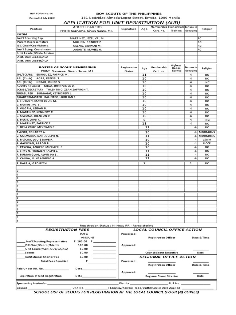 BSP Aur 16xlsx | PDF | Youth Organizations | Outdoor Recreation