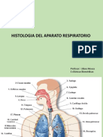 Histología Del Sistema Respiratorio