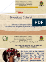 Cultura y Pueblos Indígenas