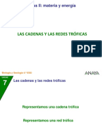 04 Cadenas Redes (1)