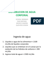 Agua Corporal Exposicion